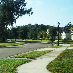 The Beutiful Streets in Fells Cove